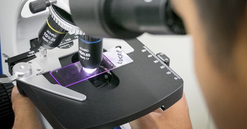 Bouton staphylocoque : reconnaître l'infection et réagir vite