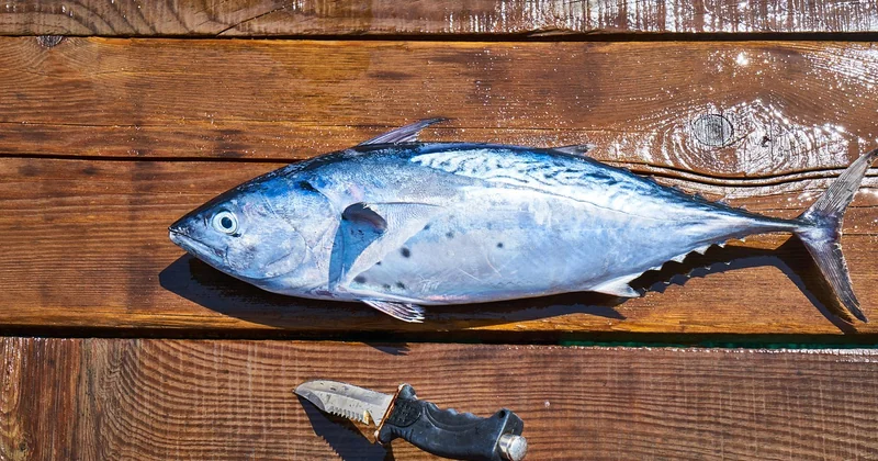 Le tableau des aliments riches en oméga-3, et comment le lire sans se faire piéger