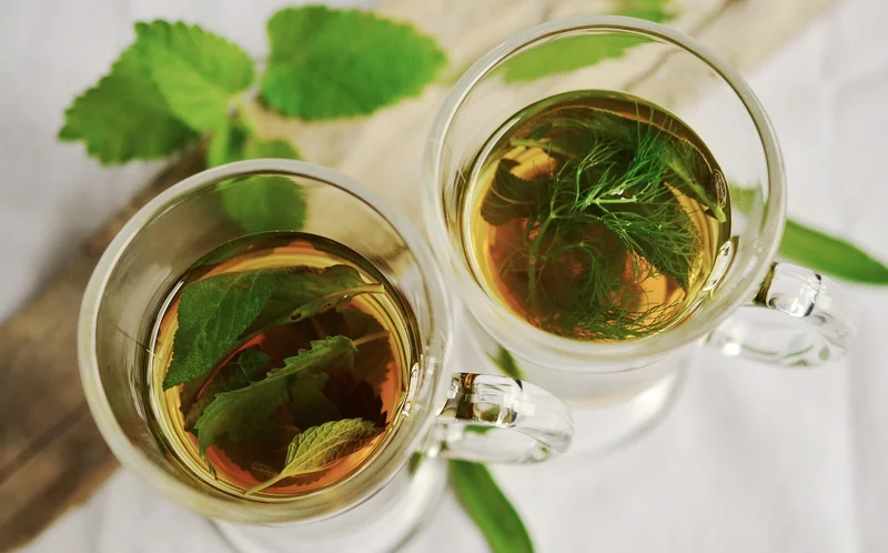 Menthe poivrée : le tonifiant express