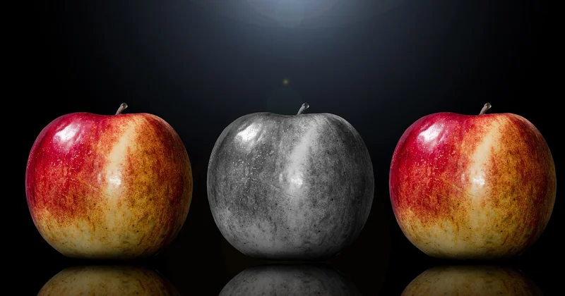 Comparaison des avantages