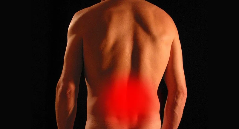 Les véritables causes des douleurs musculo-squelettiques
